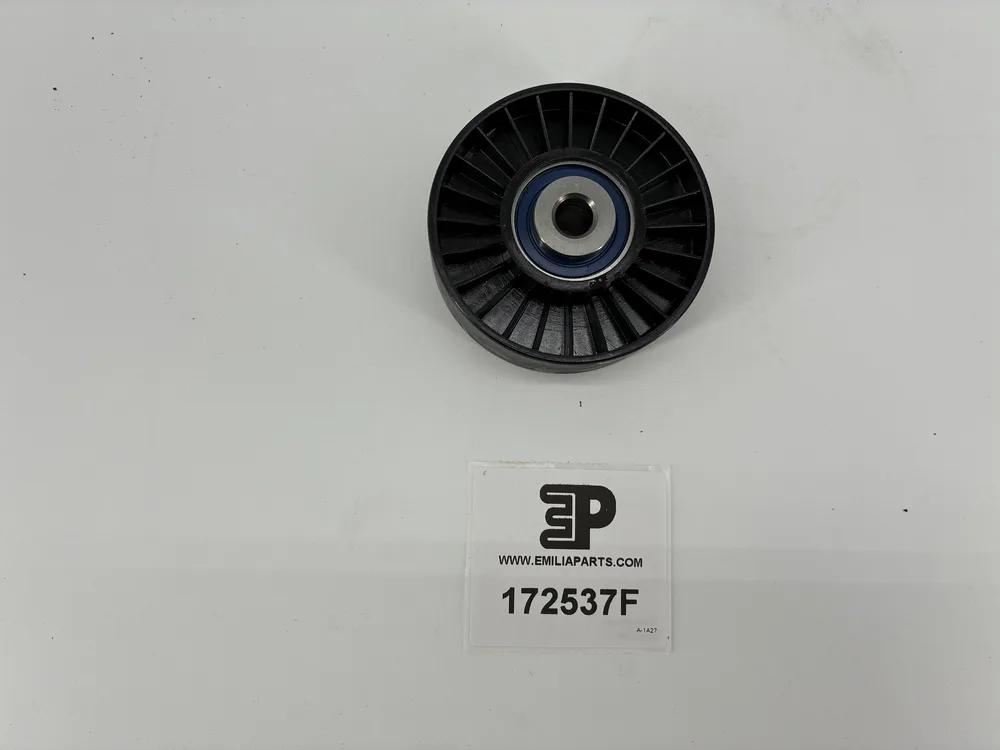 172537 FERRARI 172537F