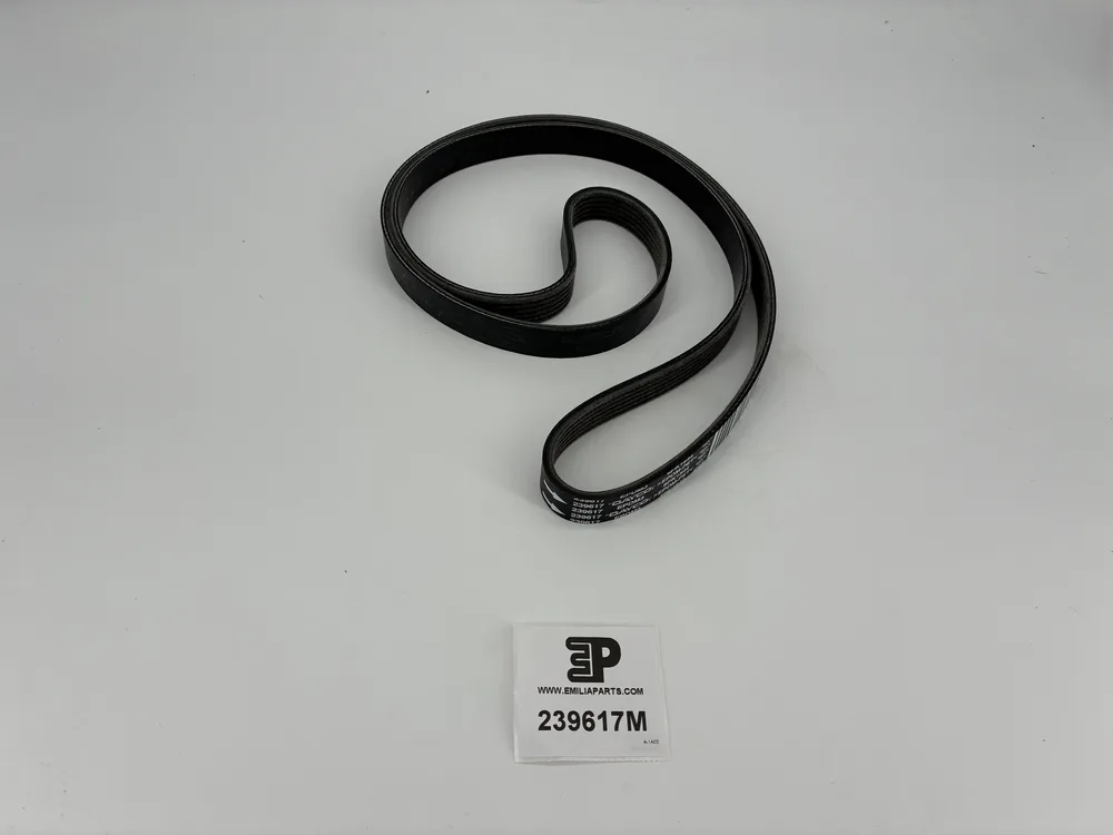 239617 MASERATI COURROIE DE COMMANDE COMPRESSEUR